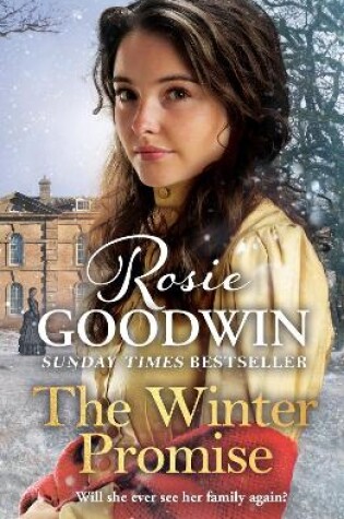 Cover of The Winter Promise