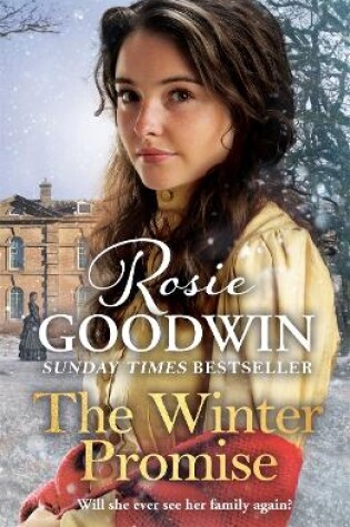 Cover of The Winter Promise
