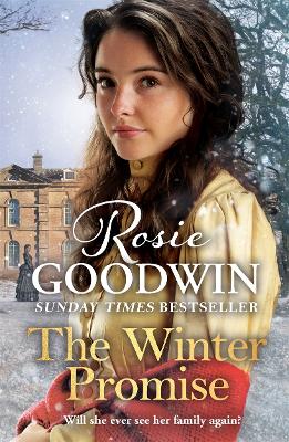 Book cover for The Winter Promise