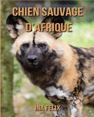 Book cover for Chien Sauvage d'Afrique