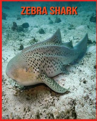 Book cover for Zebra Shark