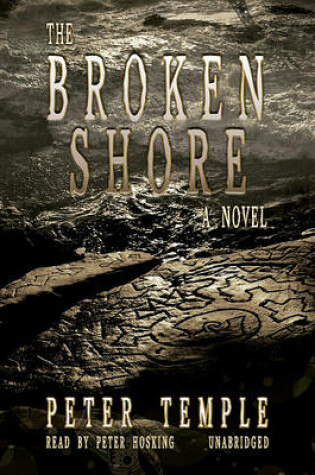 Cover of The Broken Shore