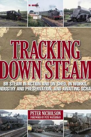 Cover of Tracking Down Steam