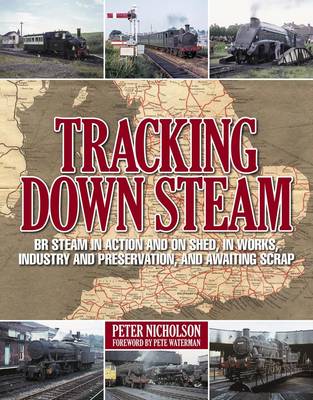 Book cover for Tracking Down Steam