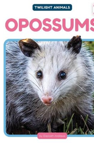 Cover of Opossums