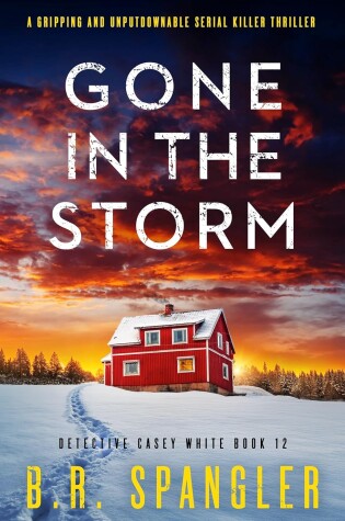 Cover of Gone In The Storm