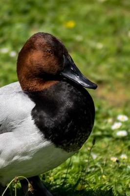 Book cover for Pochard Duck Waddling on the Grass Journal