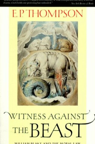 Cover of Witness against the Beast