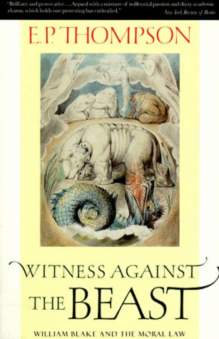 Book cover for Witness against the Beast