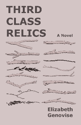 Book cover for Third Class Relics