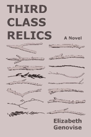 Cover of Third Class Relics