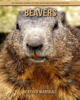 Book cover for Beavers