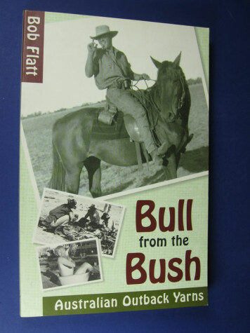 Book cover for Bull from the Bush