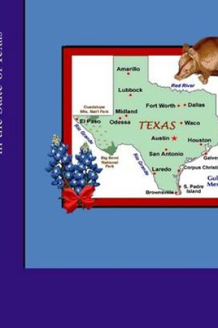 Cover of The Adventures of Arnie Armadillo in the State of Texas