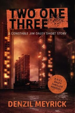 Cover of Two One Three
