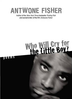 Book cover for Who Will Cry for the Little Boy?