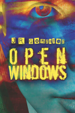 Cover of Open Windows