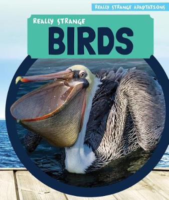 Book cover for Really Strange Birds