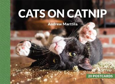 Book cover for Cats on Catnip: 20 Postcards