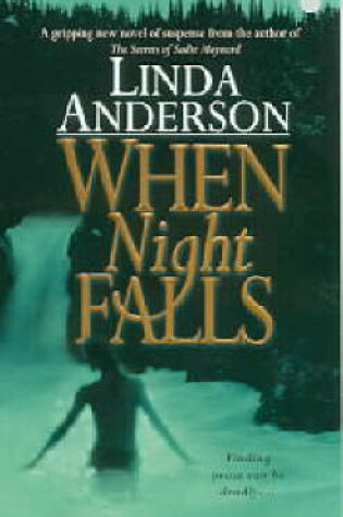 Cover of When Night Falls