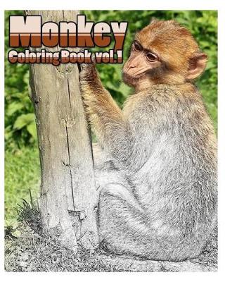 Book cover for Monkey