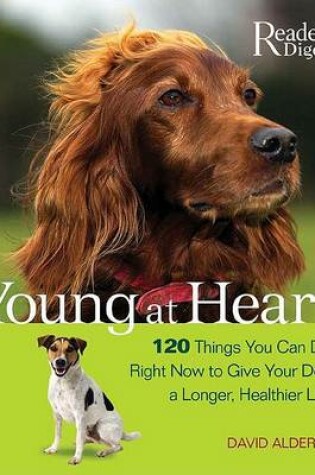 Cover of Young at Heart