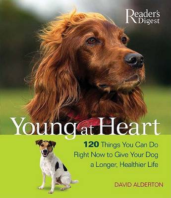 Book cover for Young at Heart