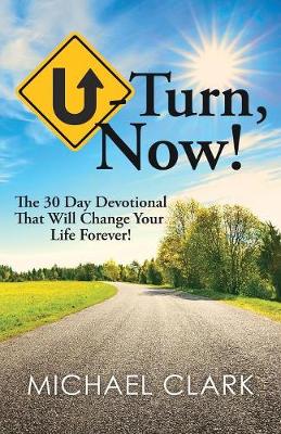 Book cover for U-Turn, Now!