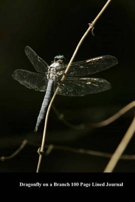 Book cover for Dragonfly on a Branch 100 Page Lined Journal