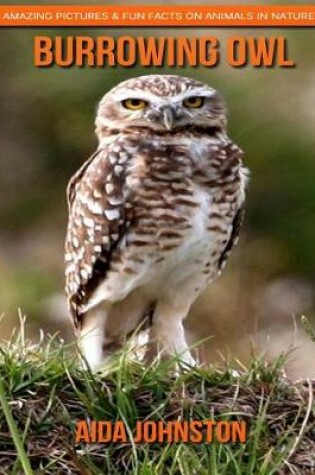 Cover of Burrowing Owl