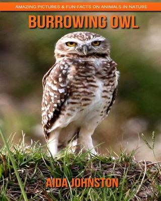 Book cover for Burrowing Owl