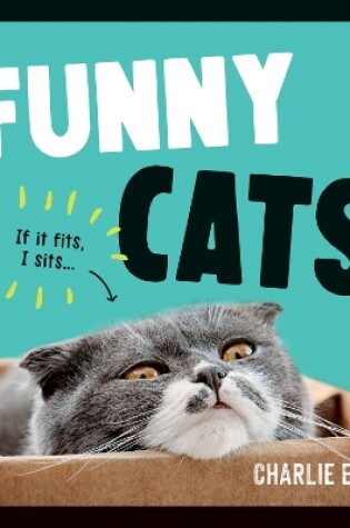 Cover of Funny Cats