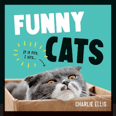 Book cover for Funny Cats