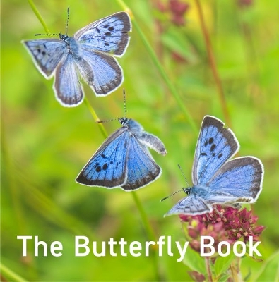 Book cover for The Butterfly Book