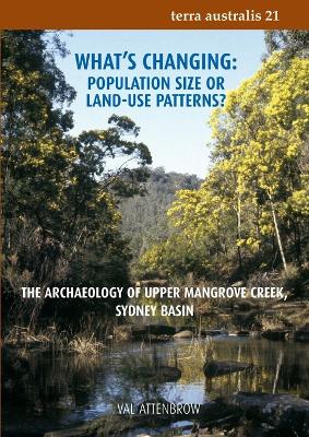 Cover of What's changing - Population Size or Land Use?