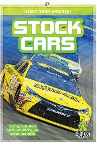 Cover of Stock Cars