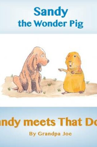 Cover of Sandy Meets That Dog