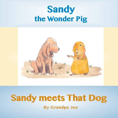 Cover of Sandy Meets That Dog