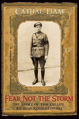 Book cover for Fear Not the Storm