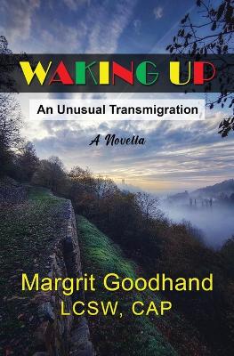 Book cover for Waking Up