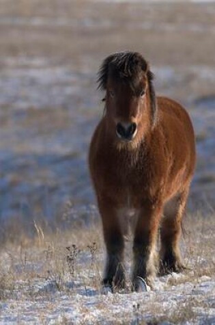 Cover of Shetland Pony on the South Dakota Prairie Journal