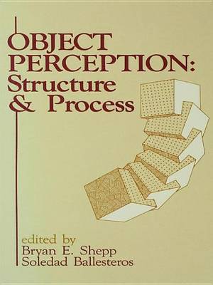Book cover for Object Perception: Structure and Process