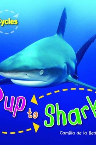 Cover of Pup to Shark