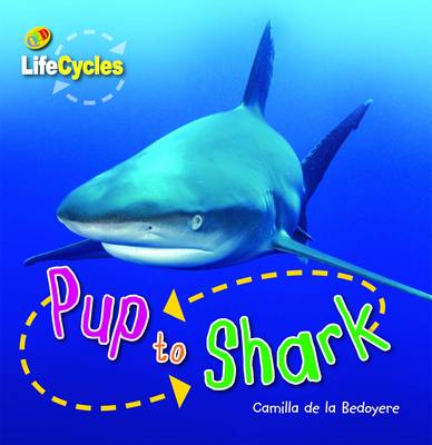 Cover of Pup to Shark
