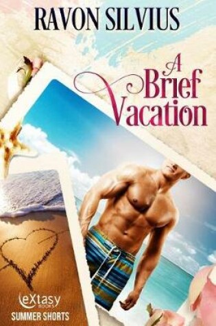 Cover of A Brief Vacation