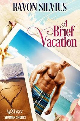 Book cover for A Brief Vacation