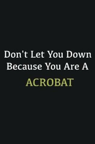 Cover of Don't let you down because you are a Acrobat