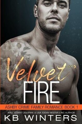 Cover of Velvet Fire