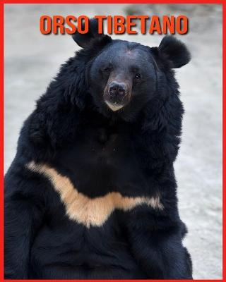 Book cover for Orso Tibetano