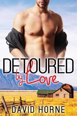 Book cover for Detoured by Love